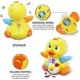 thumbnail image 4 of Baby Musical Toys 6/9/12 Months+, Baby Duck Musical Toy, Inter, 4 of 4
