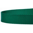thumbnail image 4 of Country Brook Petz® 3/4 inch Nylon Dog Leash - Green, 4 Foot, 4 of 4