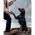 thumbnail image 4 of HAHDAXIA Anti-Pull Dog Harness, Medium Dogs, Reflective Soft Padded Dog Harnesses, Adjustable, Breathable Chest Harness with Safe Easy Control Handle, Black, M, 4 of 6