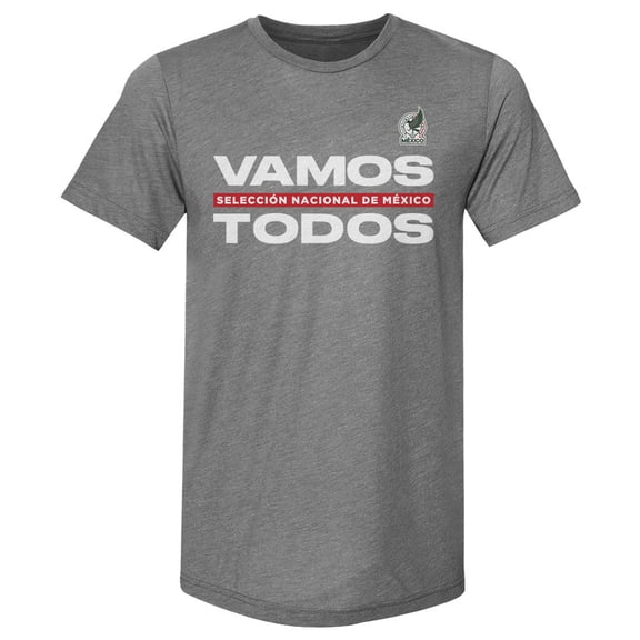 Men's 500 Level Gray Mexico National Team Vamos Todos Premium Tri-Blend T-Shirt