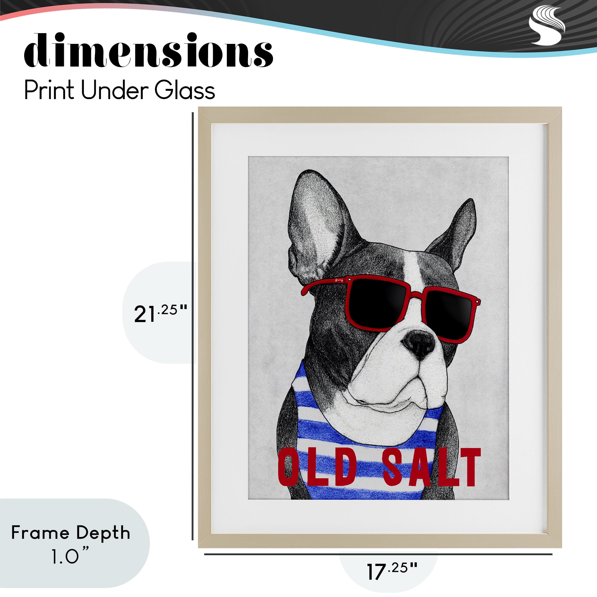 Stupell Industries Old Salt Summer Frenchie Birch Framed Print Under Glass, design by Barruff
