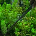 thumbnail image 4 of Pinzas Universal 27CM Acuario Planta Camarón Arrecife Tanque Recto Pinzas Rectas, 4 of 9