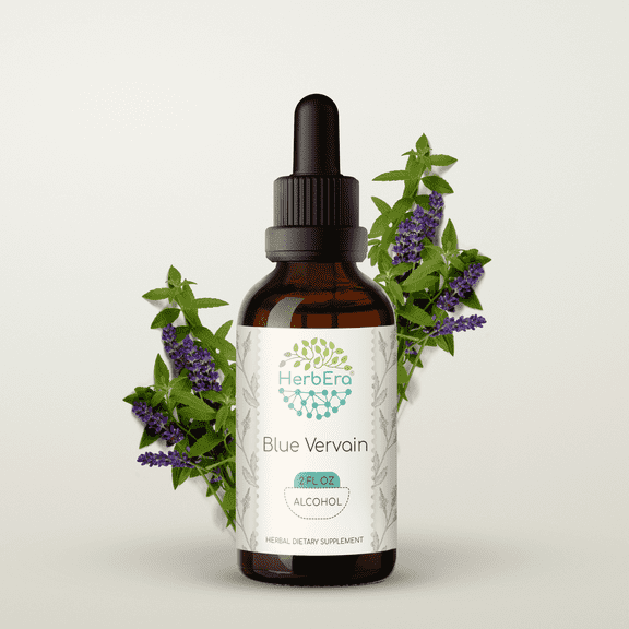 HerbEra Blue Vervain Tincture, Herbal Dietary Supplement for Stress Support, Blue Vervain (Verbena hastata) Dried Herb Extract, Natural, Alcohol Tincture, Drops 2 oz