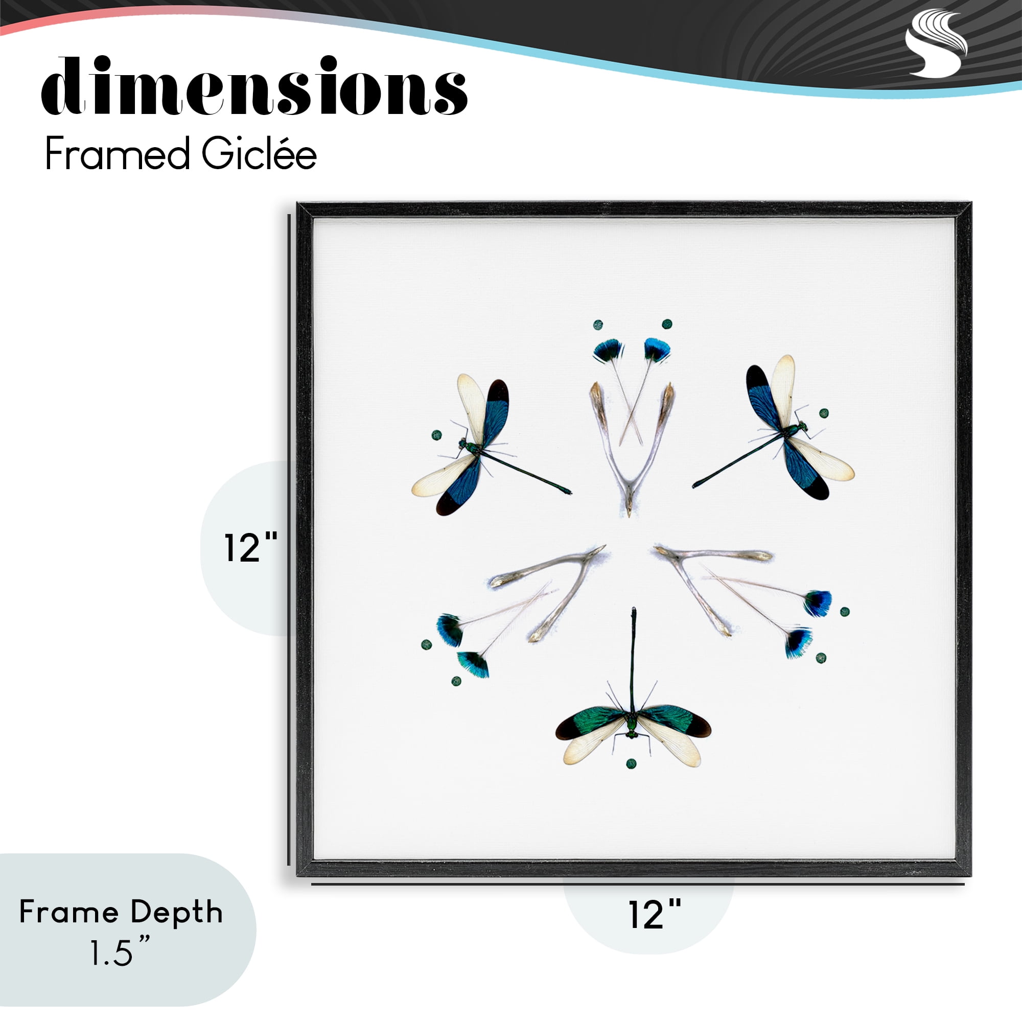 Stupell Industries Simple Dragonfly Symmetry Black Framed Giclee Art, design by Beth Adoette