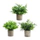 thumbnail image 1 of 3 piezas de plantas falsas BLESIY Plantas artificiales decorativas en macetas pequeñas 8 cm x 8 cm Estilo G, 1 of 8