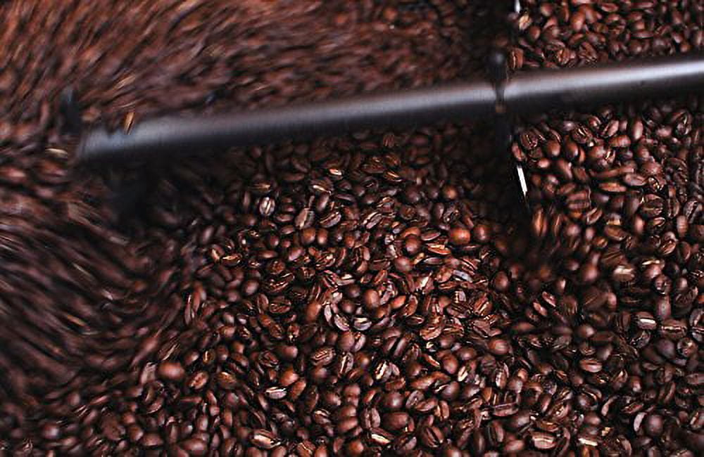 Twin Engine Coffee 235695 Organic Honey-Bear Black Edition Whole Bean Coffee 10.5 oz.