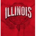 thumbnail image 2 of Illinois IL Student Campus Pride Men's Graphic T Shirt Tees Brisco Brands S, 2 of 6