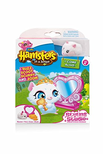 hamster toys and accessories
