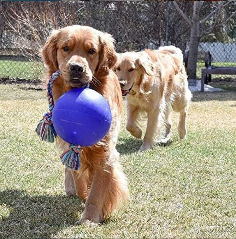 Jolly Pets Romp-n-Roll 8 inch Blue Rubber Ball with Rope for Dogs
