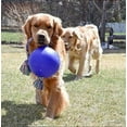 thumbnail image 2 of Jolly Pets Romp-n-Roll 8 inch Blue Rubber Ball with Rope for Dogs, 2 of 7