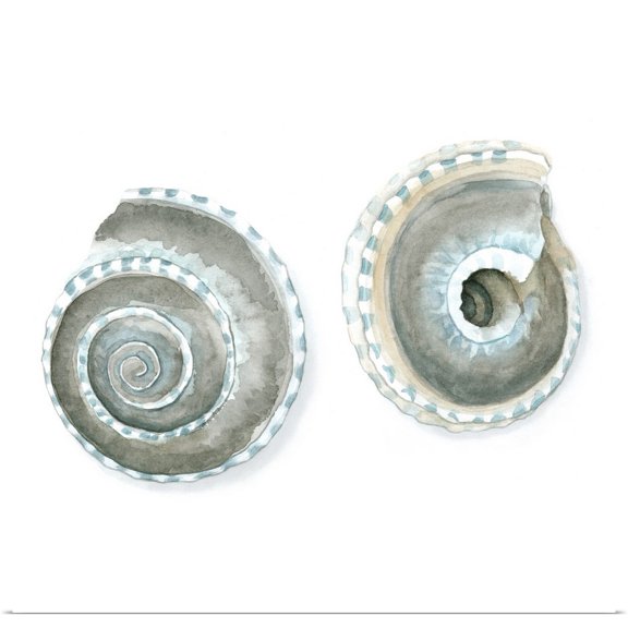 Great BIG Canvas | "Watercolor Shells IV" Art Print - 16x16