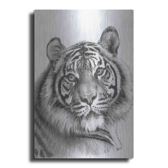 Luxe Metal Art 'Shimmer' by Barbara Keith, Metal Wall Art, 24"x36"
