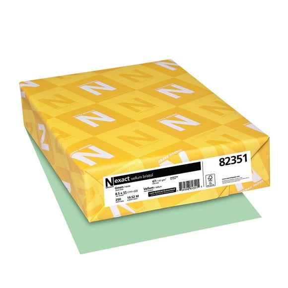 Neenah 82351 Carton Coloré Exact Vert (Lot de 250)