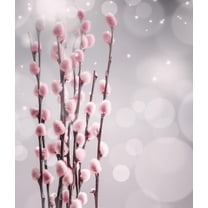 2 French Pink Pussy Willow Trees