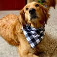 thumbnail image 5 of 4 pañuelos para perros a cuadros, bufanda triangular reversible para mascotas para niños y niñas, tela duradera de primera calidad, pañuelo para perros pequeños, medianos, grandes y extragrandesLargo Jormftte CPB-US-ZMR06-4, 5 of 5
