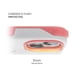 thumbnail image 5 of Funda GHOSTEK Exec para iPhone 13 Rosa con Porta tarjetas Loop, 5 of 10