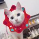 thumbnail image 5 of Collar de recuperación para gatos: lindos conos de gato con cuello de flores después de la cirugía, collar ajustable para gatos E, collares isabelinos de recuperación de cirugía, 5 of 5