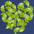 thumbnail image 2 of CafePress - Ginkgo Leaf Heart Maternity Dark T Shirt - Maternity Dark T-Shirt, 2 of 3
