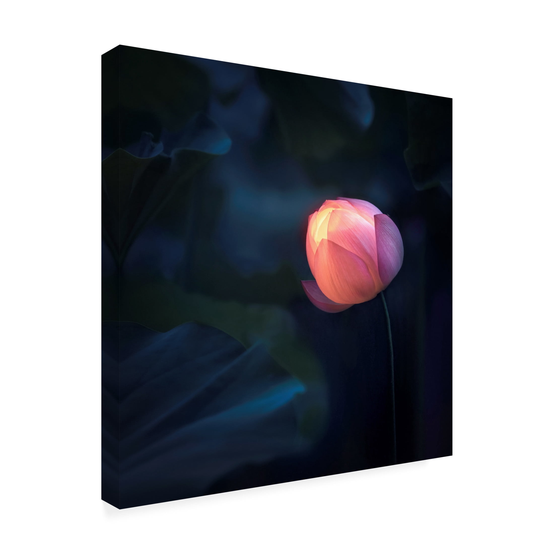 Trademark Fine Art Catherine W. Glow In Dark Canvas Wall Art