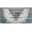Bible Verses, variant on Vanity Plate Cover with Chicago Skyline Fade-resistant Design, Aluminum Novelty Car Tag, 12 x 6 Inch, Universal Fit, Waterproof