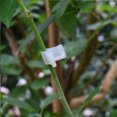 thumbnail image 3 of Monstrate Clip para injerto de plástico vegetal, 100 Uds., soportes para plantas, herramienta de conexión, abrazadera para fijación de tomate, Jardín y Patio Monstrate HA082882-01, 3 of 6