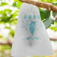 thumbnail image 3 of Miangastore Paper Breeding Bag Translucent Paper 50Pack 13X9In, 3 of 9