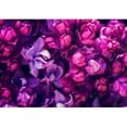 thumbnail image 2 of wall26 - Lilac Flowers Background - Removable Wall Mural | Self-Adhesive Large Wallpaper - 66x96 inches, 2 of 6