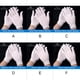 thumbnail image 5 of Sonducket 12 pares de guantes de algodón blanco para mujer, manopla de trabajo, guante de alta elasticidad para herramientas de limpieza de Type2 NO2, 5 of 6