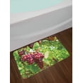 thumbnail image 2 of Grape Bath Mat, Bunch of Concorde Wine Fruits Blurred Backdrop Country Vineyard View, Plush Bathroom Decor Mat with Non Slip Backing, 29.5" X 17.5", Lime Green Dark Coral, by Ambesonne, 2 of 2