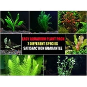 Easy Live Aquarium Plants Package - 7 Kinds - Anacharis, Amazon and more!