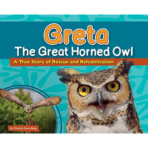 Greta le Grand Hibou Cornu: une Histoire Véritable de Sauvetage et de Réhabilitation