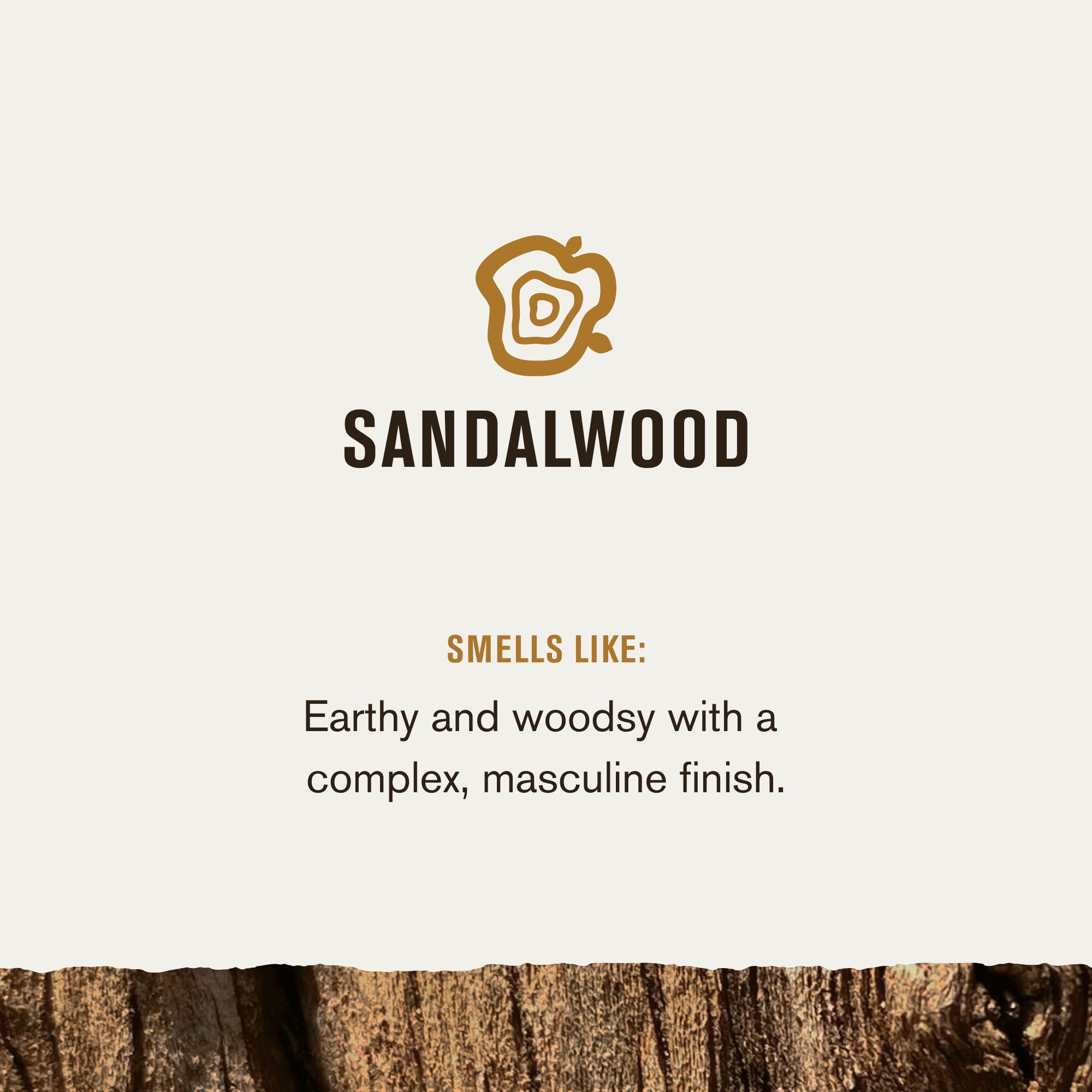 Every Man Jack Mens Sandalwood Beard Regimen Set - Beard & Face Wash, Beard Oil, & Beard Butter