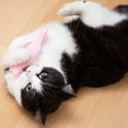thumbnail image 5 of Pretty Kitty Catnip Toys for Cats | 6-Piece Cat Pillow Set with Catnip | Fluffy Pillow Cat Toy | Kitten Toys and Cat Accessories, 5 of 7
