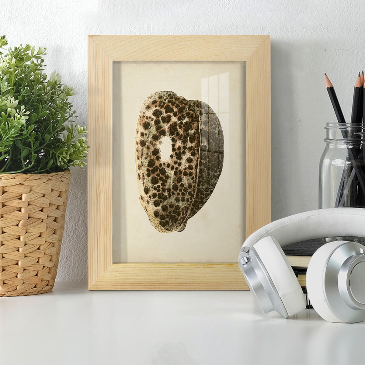 Sealife Collection III - Framed Print w/glass - Natural Wood