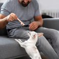thumbnail image 5 of 3 PCS Pet Food Can Spoon Pet Food Mixing Spoons Silicone Food Canned Scoop Mini Spatula Food Can Spoon for Dogs and Cats(Pink+Grey+Green), 5 of 5