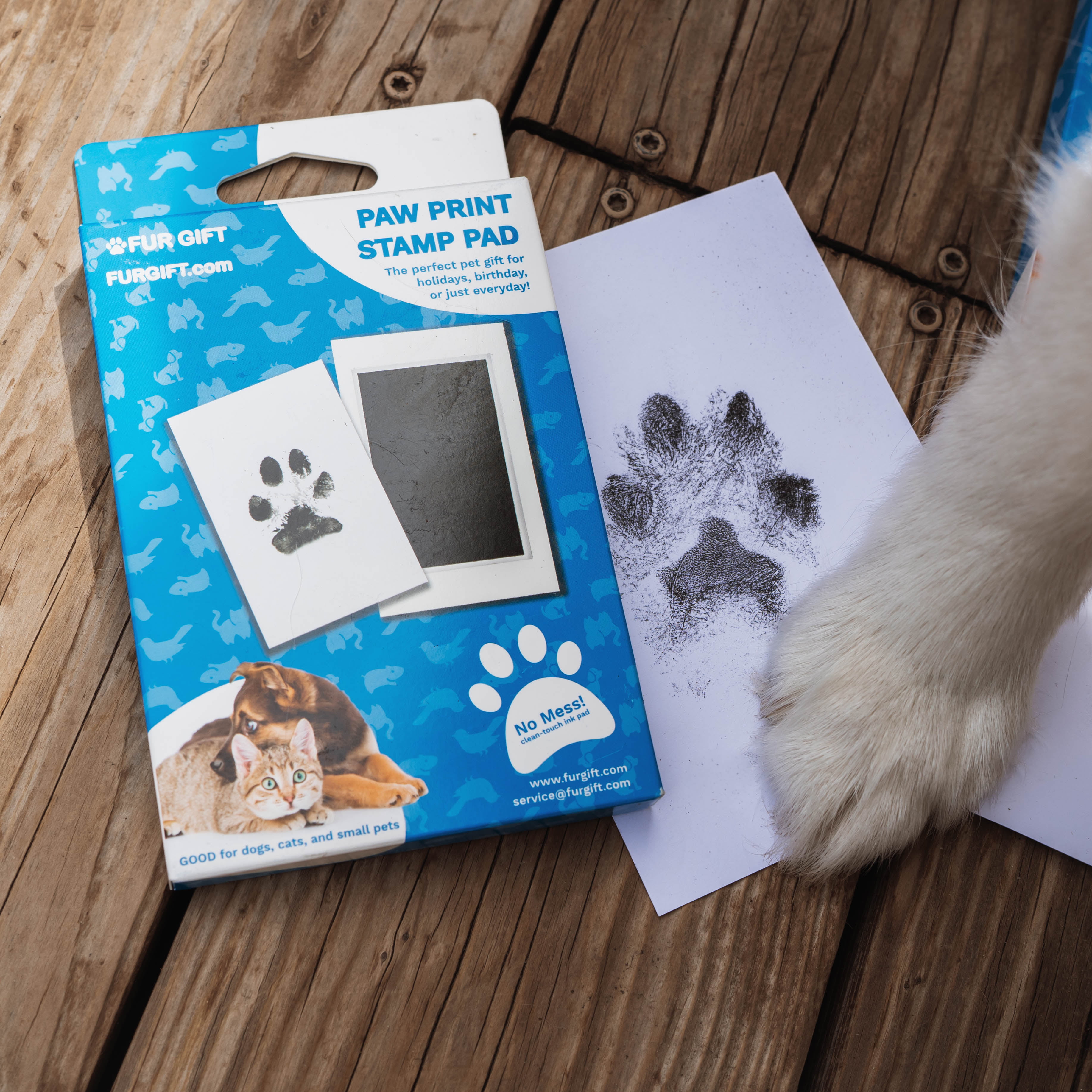 FUR GIFT Paw Print Stamp Pad, 100% Pet Safe, Pet Paw Print Kit, No-Mess Ink  Pad, Imprint Cards, Pet Memorial Keepsake, Dogs, Cats, Small Pets, Pet
