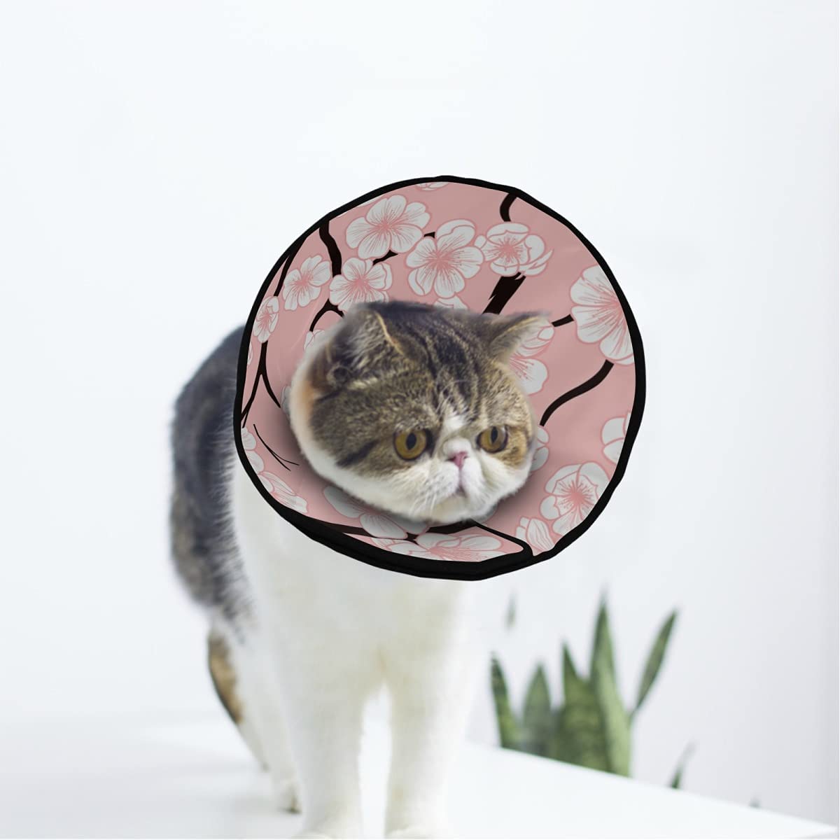 Cherry Blossoms Soft Cat Dog Recovery Collar Adjustable Cat Cone Wound Healing Protective After Surgery for Pet Cone