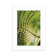 thumbnail image 1 of Marco de Fotos Unbranded Fotografia de hojas 5x7 pulgadas, 1 of 4