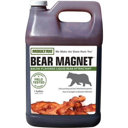 Coffee Bean Magnets - Moultrie Bear Magnet, Savory Bacon