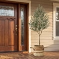 thumbnail image 6 of ROMSWI 8FT Artificial Olive Tree Tall in Black Plastic Pot with Lifelike Fruits Faux Olive Tree For Home House Office Decor Indoor, 6 of 11