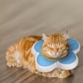 thumbnail image 2 of Collar con forma de flor para gatos, lindo collar impermeable de Elsa para gatos y cachorros, 2 of 6