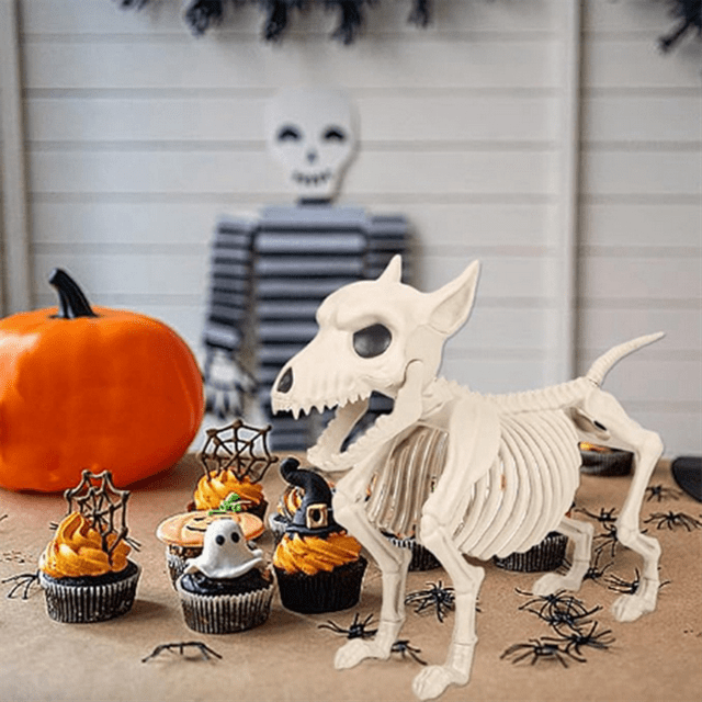Skeleton Frog Halloween Decorations - Posable Skeleton Animals Skeletons with Posable Joints Halloween Decor