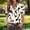 A724 Army Green, variant on Button Down Shirt for Women Short Sleeve Lapel Collar Vertical Abstract Print Relaxed Fit Lightweight Breathable Professional Office Work Blouse