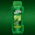 Irish Spring Body Wash, Aloe 18 oz (Pack of 4)