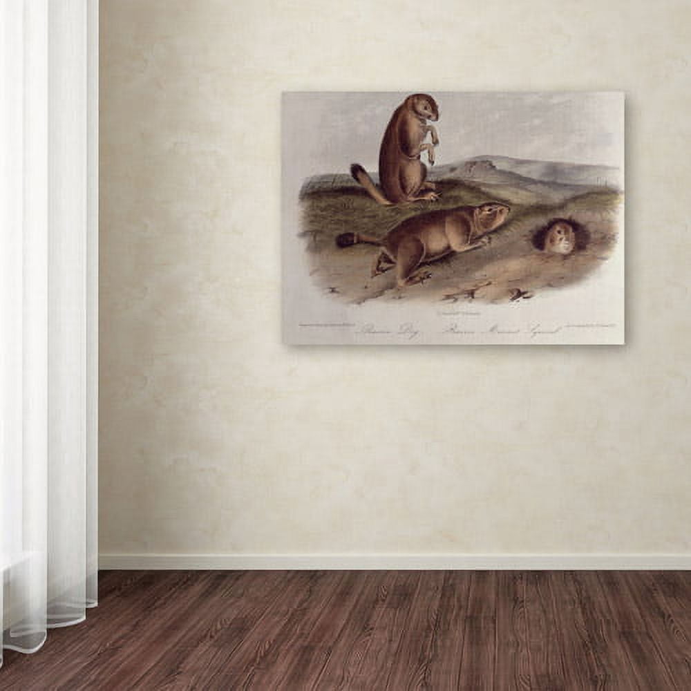 Trademark Fine Art "Prairie Dog" Canvas Art by John James Audubon