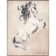 thumbnail image 3 of Pattinian, Merri 19x24 Black Modern Framed Museum Art Print Titled - Majestic Horse I, 3 of 5