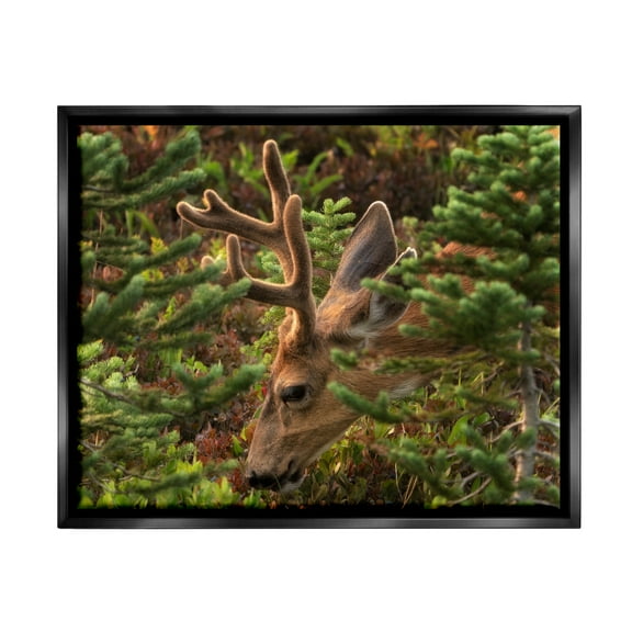 Stupell Industries Deer Forest Nature Vegetation Animals & Insects Photography Black Floater Framed Art Print Wall Art