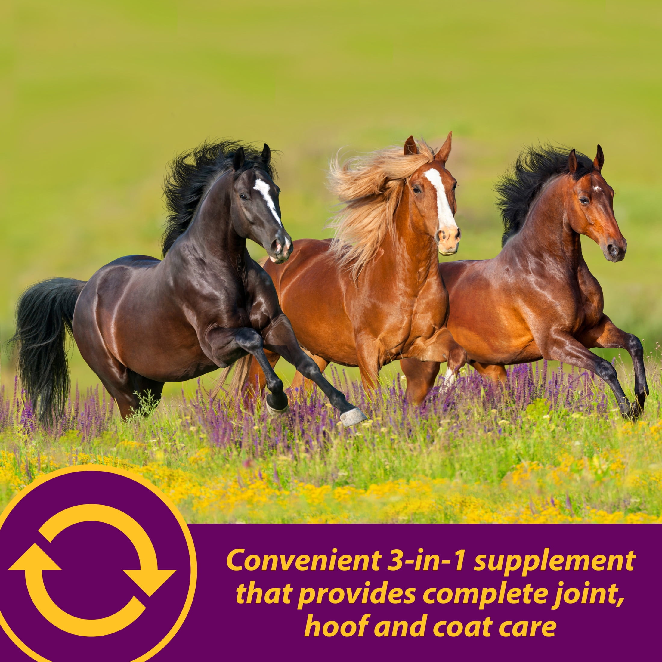 (4 pack) Horse Health Joint Combo Hoof & Coat 3.75 pounds 30 day supply