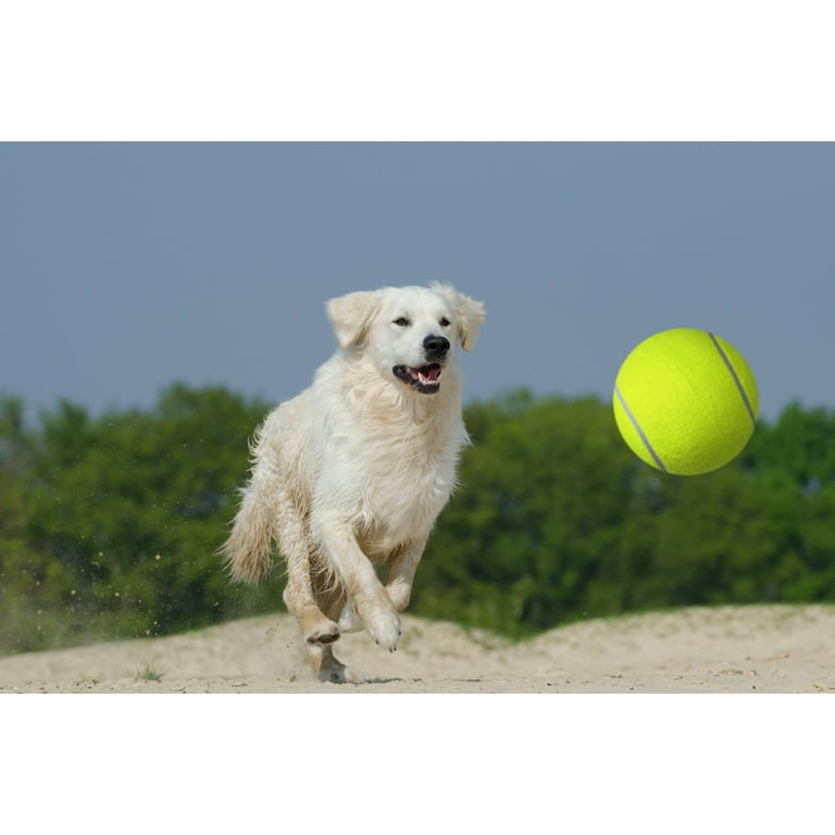 Jumbo tennis ball for dogs cheap