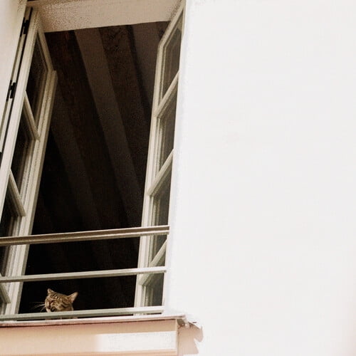 M(H)Aol - Something Soft - Music & Performance - CD